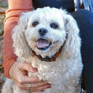 Meet your Posher, Marilyn